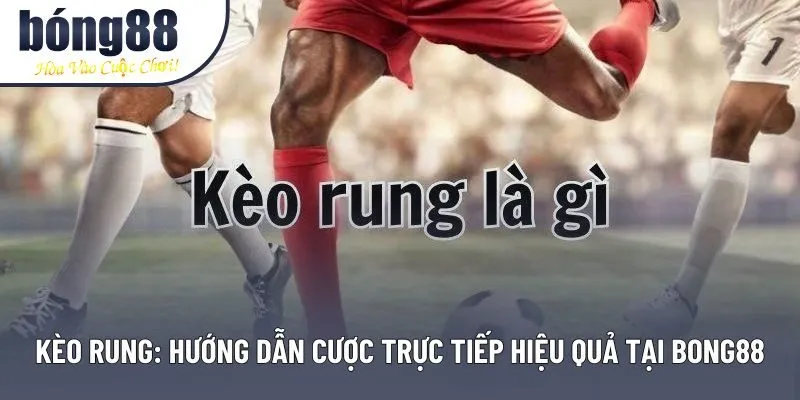 Kèo Rung Bong88: Chiến Lược Thắng Cược Trực Tiếp Cho Người Mới
